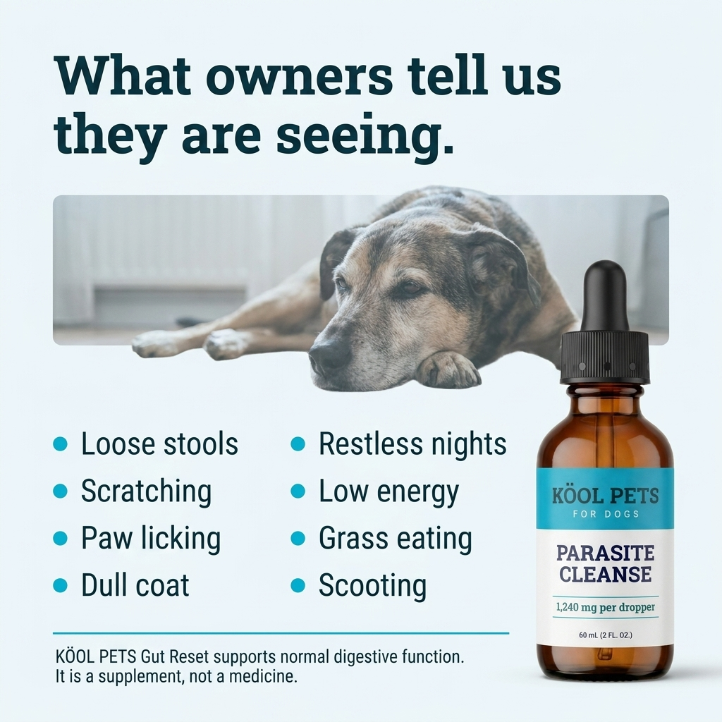 Parasite Cleanse Drops