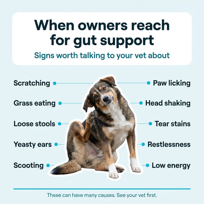 Gut Reset Drops