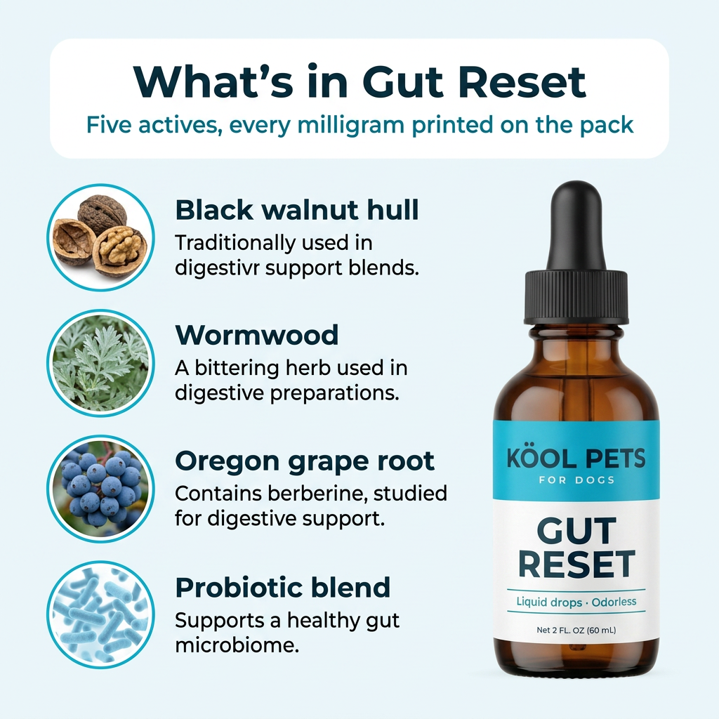 Gut Reset Drops