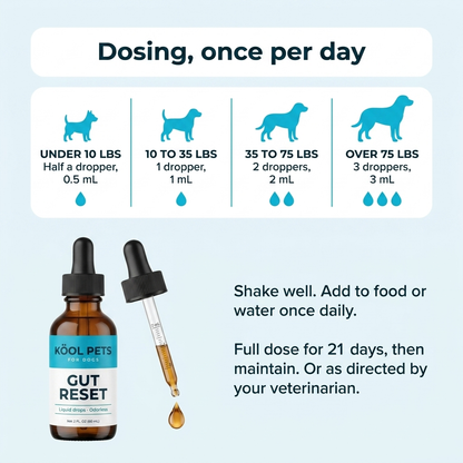 Gut Reset Drops
