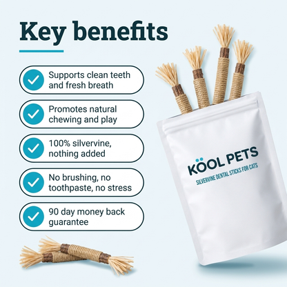 Silvervine dental chew sticks for cats