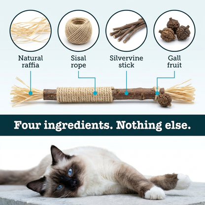 Silvervine dental chew sticks for cats